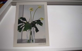 postikortti (A) glorian koti kukka