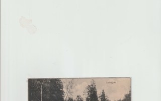 SEINÄJOKI,VANHA KORTTI KULK v 1916,SENSUURI(7283)