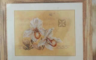 2 orkidea-aiheista ristipistomallia (Lanarte)
