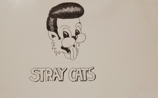 Stray cats STRAY 1