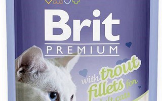 BRIT Premium Trout Files in Jelly - kissan märkäruoka - 85