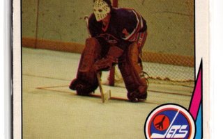 Joe Daley Winnipeg Jets 77-78 OPC WHA #9