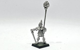 Warhammer Fantasy - Dark Elf Standard Bearer (1987) [G152]