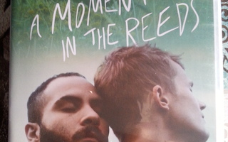 A MOMENT IN THE REEDS  DVD
