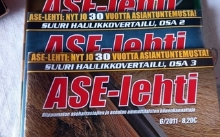 4 kpl aselehti v 2011