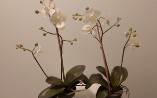 Orkidea tekokukka x 2