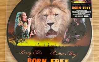 Brian May & Kerry Ellis: 12" Born Free kuvasingle *UUSI