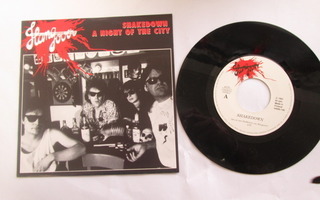 HANGOVER shakedown / a night of the city ( v 1991 suomirock