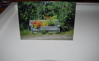 postikortti (A) penkki kukka kukkia