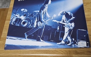 Nirvana live at paramount vinyyli