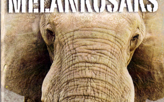 MELANKOSAKS : Lasikaupan elefantti