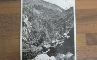 PYHÄTUNTURI postikortti v 1959