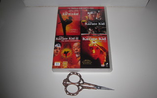 Karate Kid 1-4 (4-Dvd )