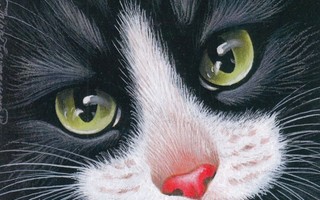 Irina Garmashova: Kissa, vihreät silmät