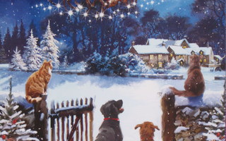 Kissat ja koirat katselevat joulupukin rekeä taivaalla tk