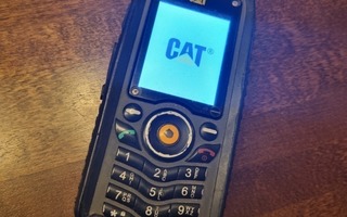 Cat B25   2x sim