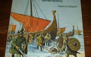 Männen från norr : roligt att veta om vikingarna