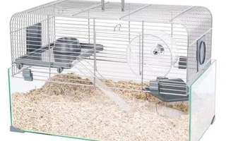 ZOLUX Panas Colour 50 - rodent cage - grey