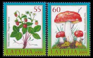 Latvia 767-8 ** Sieniä (2009)