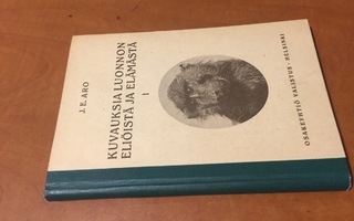 ARO KUVAUKSIA LUONNON ELIÖISTÄ JA ELÄMÄSTÄ 1925 HYVÄ