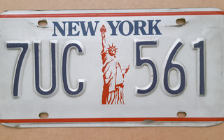 Vapaudenpatsas New York jenkkiväreissä rekisterikilpi 30 cm
