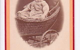 VANHA CDV Visiitti Valokuva Lapset UPEAT Vaunut 1880-l