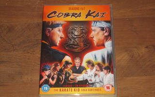 Cobra Kai - seasons 1 & 2 (dvd) - 4 levyä- Ralph Macchio