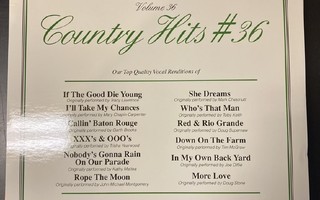 NuTech Entertainment - Country Hits #36 LaserDisc