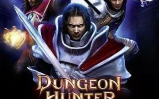 Dungeon Hunter Alliance PSVita (Käytetty)