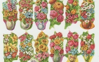 * Krüger 98-30, kukkia maljakoissa-arkki *