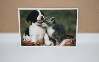 postikortti  (T)  Kissa ja koira