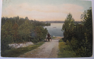 VANHA Postikortti Janaslahti 1901