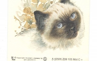 Posliinisiirtokuva Vaaleahko kissa