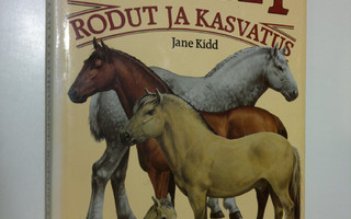 Jane Kidd : Maailman hevoset : rodut ja kasvatus