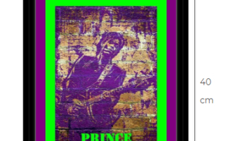 Prince canvastaulu 30 cm x 40 cm musta kehys