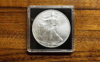 USA Silver eagle 1 oz hopeakolikko