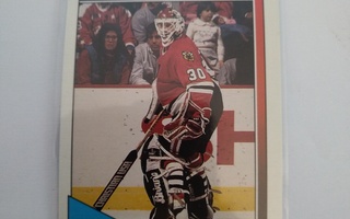 Ed Belfour O-Pee-Chee