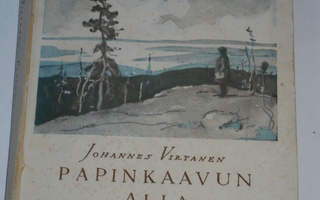 Johannes Virtanen : Papinkaavun alla