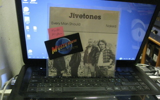 JIVESTONES - EVERY MAN SHOULD 7"SINGLE M-/EX+