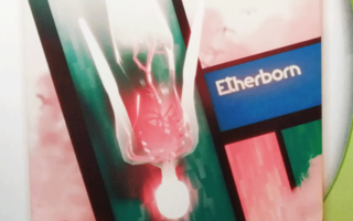 Etherborn (iam8bit) (CIB) PS4 (Käytetty)