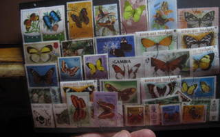Perhonen postimerkeillä levyllinen