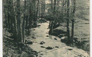 Kevät Suomalainen aihe, kulkenut 1905