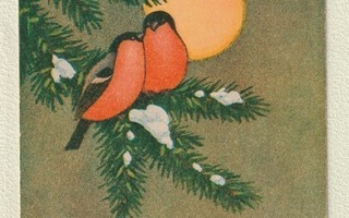 Rudolf Koivun joulukortti: punatulkut kuutamossa