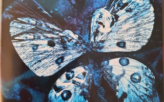 Butterfly Effect 3 - Revelation  (DVD)