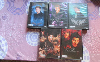 Angel DVD