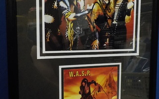 W.A.S.P. TAULU NIMMARILLA (W)