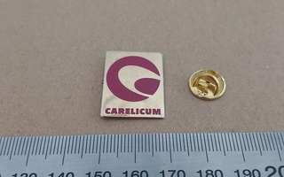 Carelicum - Joensuu pinssi