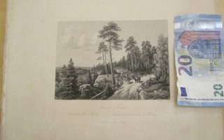 VANHA Gravyyri B.Lindholm Savo 1871 A.Weger Tilgmann