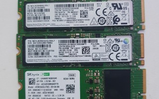 M.2 SSD 5kpl 256GB tikkuja