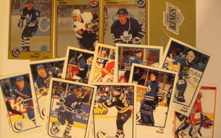 Panini Hockey 1994-95 stickers tarroja, Katso!